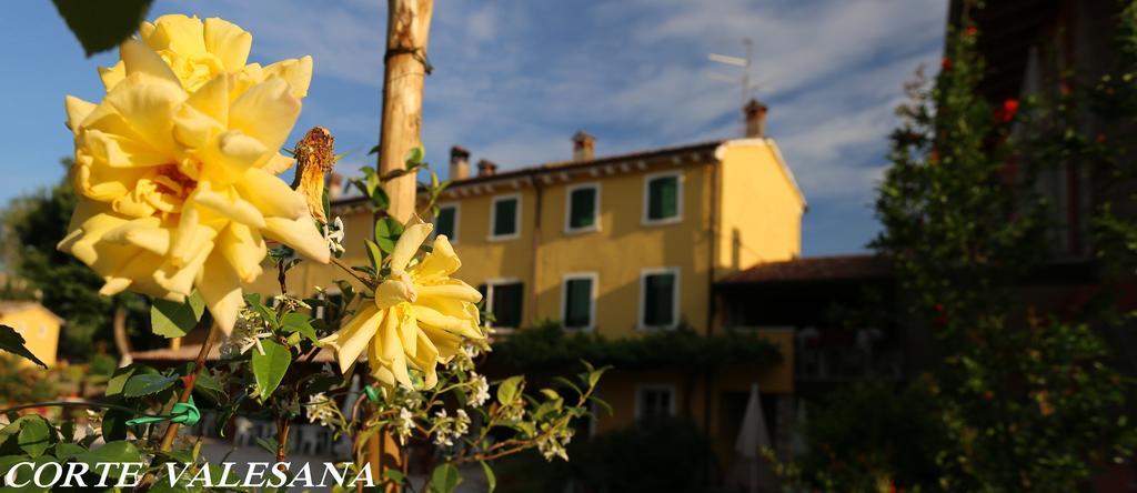 Corte Valesana ลาซีเซ ภายนอก รูปภาพ